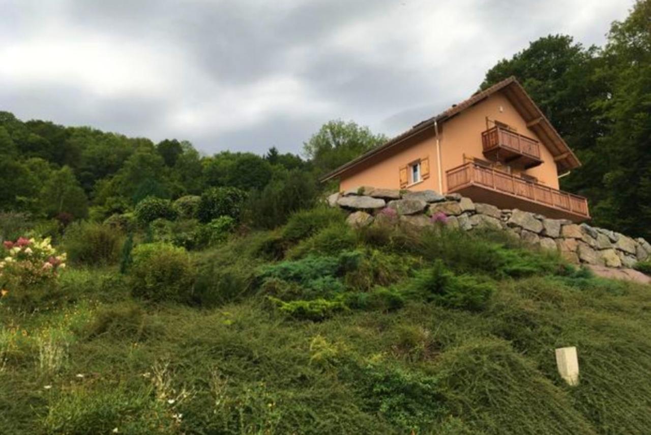Appartement d'une chambre avec terrasse amenagee et wifi a Cornimont a 3 km des pistes Extérieur photo